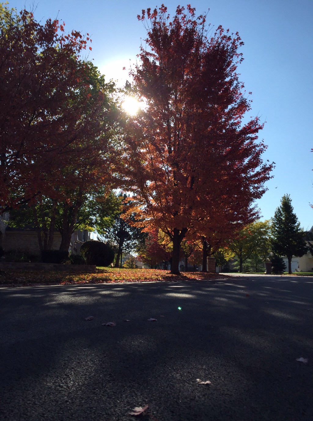 Different route                                                                    10/20/2014, Bartlett,&nbsp;Illinois